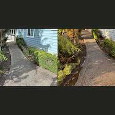 Safety-Slip-Prevention-Pressure-Washing-in-Marysville-WA 0
